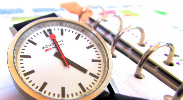 Kísérleti nyúl akcióban