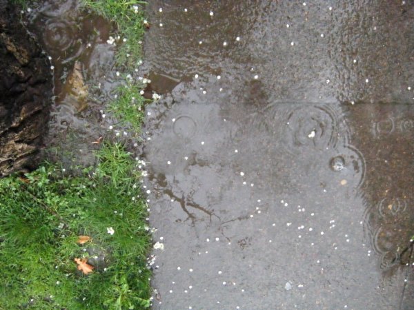 spring_rain