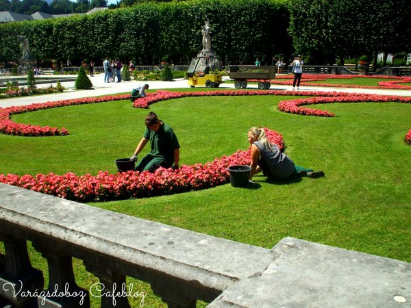 ausztria_2014_nyar _fuji (117)