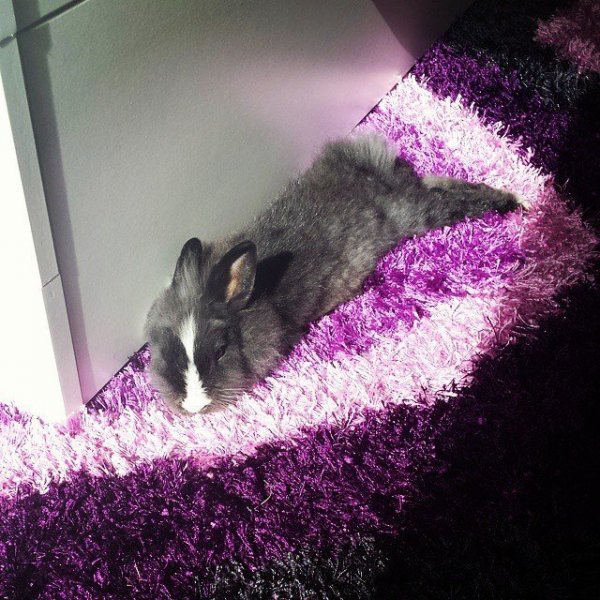 vkp_tavalyhoz_kepest